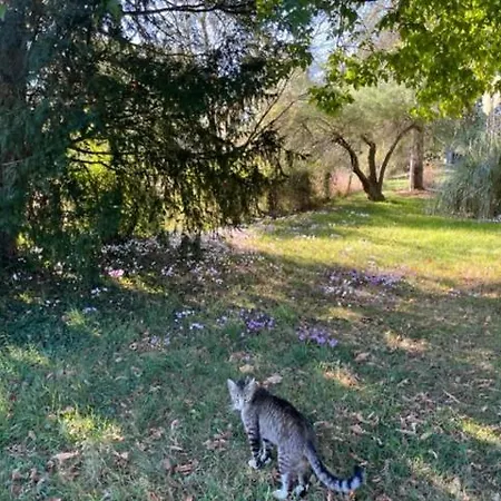 Val D'oiseaux * Millac (Vienne)