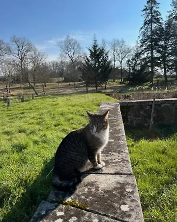 Holiday home Val D'oiseaux