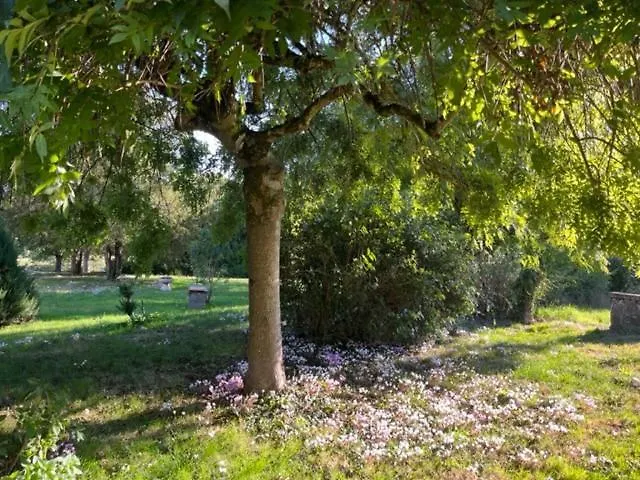 Сasa de vacaciones Val D'oiseaux *